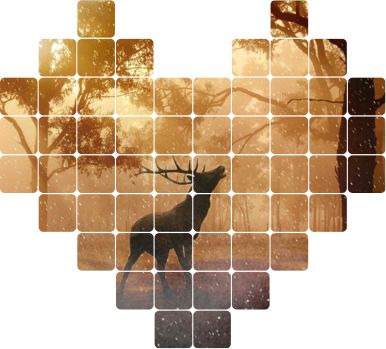 微(wēi)信圖片_20190412174238.jpg 微(wēi)信圖片_20190412174238.jpg