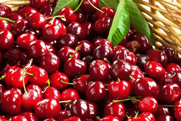 9750fccca910dbea6e26ef44a21e6ae7-sz_311497.gif 9750fccca910dbea6e26ef44a21e6ae7-sz_311497.gif